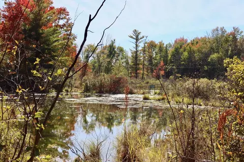 V/l N. Bear Track, White Cloud, MI 49349 photo 19