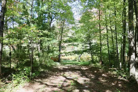 V/l N. Bear Track, White Cloud, MI 49349 photo 11