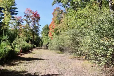 V/l N. Bear Track, White Cloud, MI 49349 photo 4