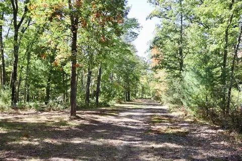 V/l N. Bear Track, White Cloud, MI 49349 photo 6