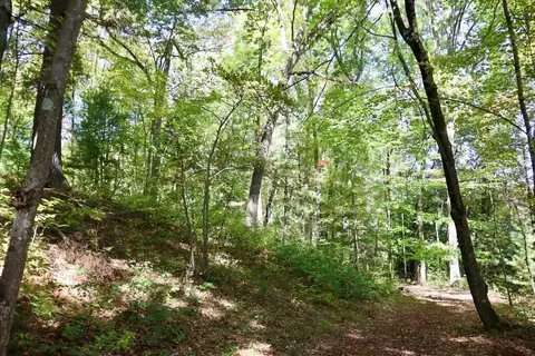 V/l N. Bear Track, White Cloud, MI 49349 photo 16