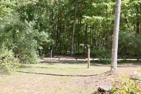 V/l N. Bear Track, White Cloud, MI 49349 photo 3