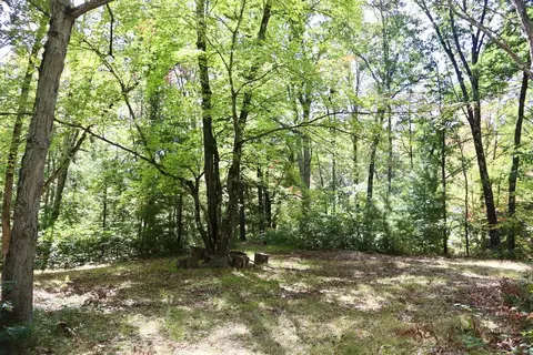 V/l N. Bear Track, White Cloud, MI 49349 photo 8