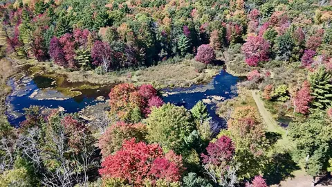 V/l N. Bear Track, White Cloud, MI 49349 photo 17