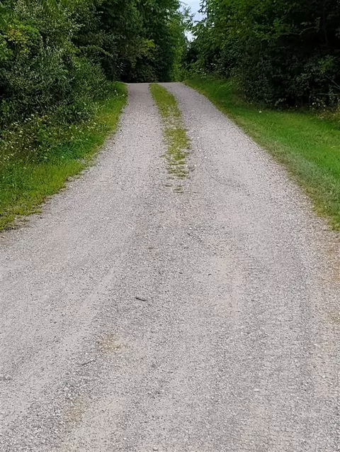 St. Pierre Drive, Flat Rock, MI 48134 photo 3