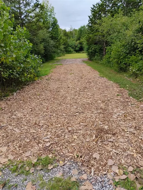 St. Pierre Drive, Flat Rock, MI 48134 photo 7