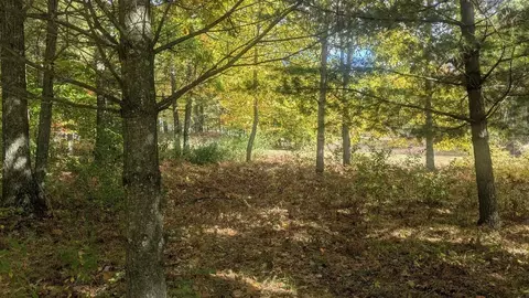 emerald ridge, Onekama, MI 49675 photo 7