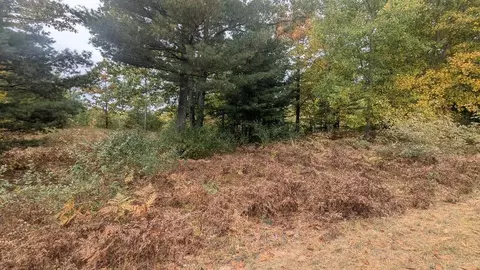 emerald ridge, Onekama, MI 49675 photo 6