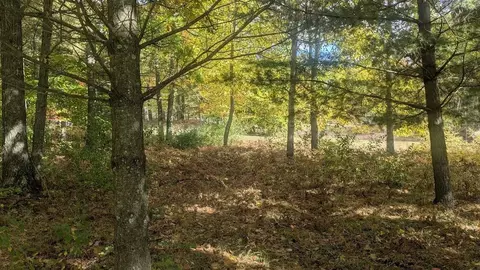 emerald ridge, Onekama, MI 49675 photo 5