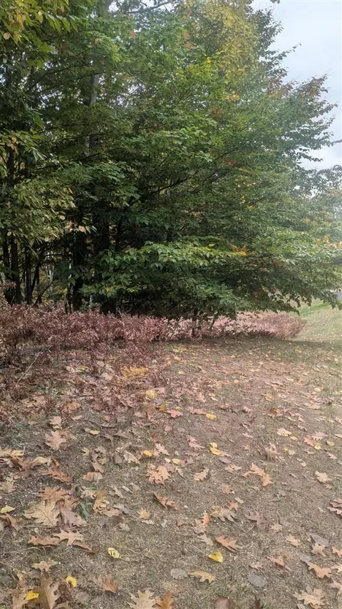 emerald ridge, Onekama, MI 49675 photo 9