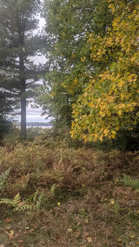 emerald ridge, Onekama, MI 49675 photo 3