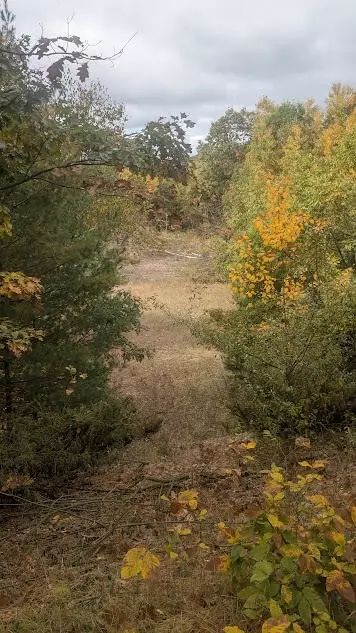 emerald ridge, Onekama, MI 49675 photo 4