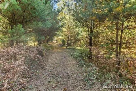 155 Th, Morley, MI 49336 photo 7