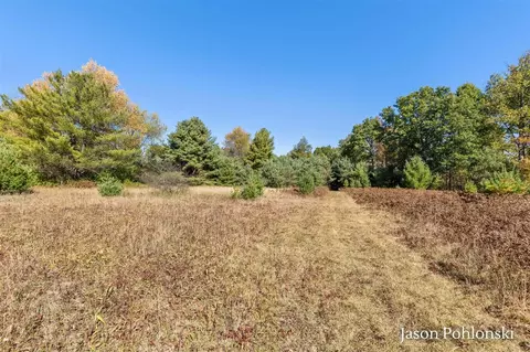 155 Th, Morley, MI 49336 photo 19