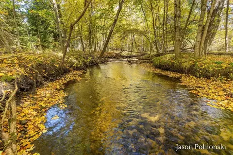 155 Th, Morley, MI 49336 photo 8