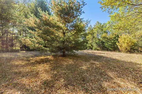 155 Th, Morley, MI 49336 photo 22