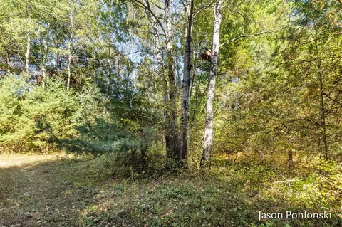 155 Th, Morley, MI 49336 photo 21