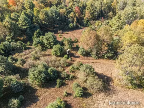 155 Th, Morley, MI 49336 photo 24