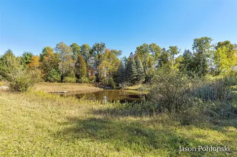 155 Th, Morley, MI 49336 photo 18