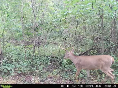 Vl Ayers, Marcellus, MI 49067 photo 9