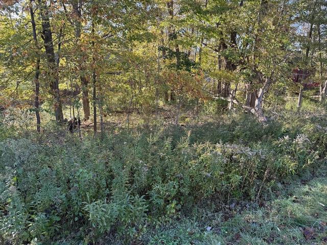 Join Me Red Parcel B Red Arrow, Harbert, MI 49115 | MLS# 70566586 | 9 Photos - Movoto