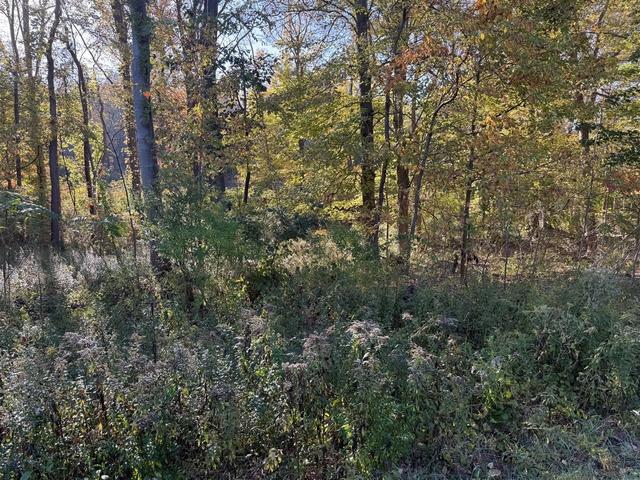 Join Me Red Parcel A Red Arrow, Harbert, MI 49115 | MLS# 70566587 | 9 Photos - Movoto