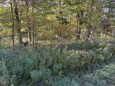 Parcel A Red Arrow, Harbert, MI 49115 photo 4