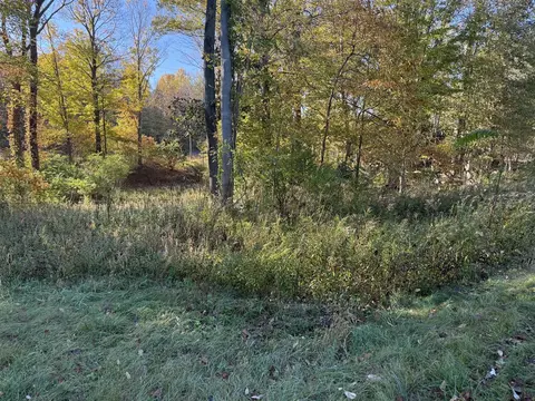 Parcel A Red Arrow, Harbert, MI 49115 photo 6