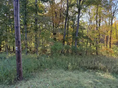 Parcel A Red Arrow, Harbert, MI 49115 photo 5