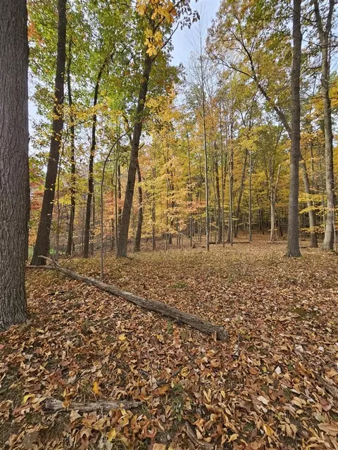 10068 Town, Parma, MI 49269 photo 6