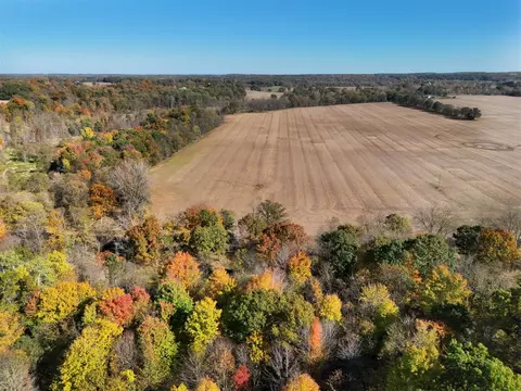 V/l Biggs, Lowell, MI 49331 photo 8