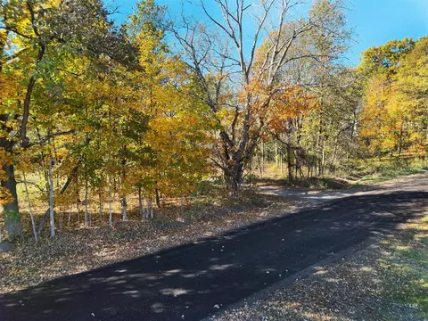 V/l Biggs, Lowell, MI 49331 photo 13