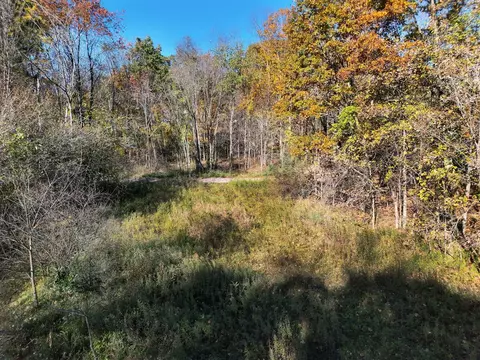 V/l Biggs, Lowell, MI 49331 photo 12