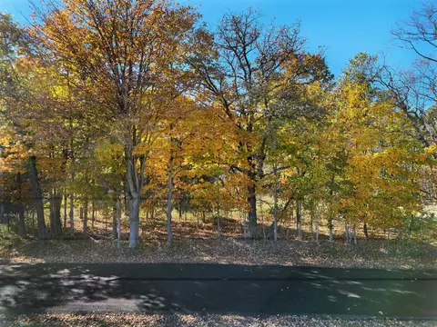 V/l Biggs, Lowell, MI 49331 photo 14