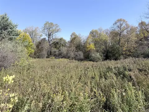 W Lake, Clio, MI 48420 photo 9