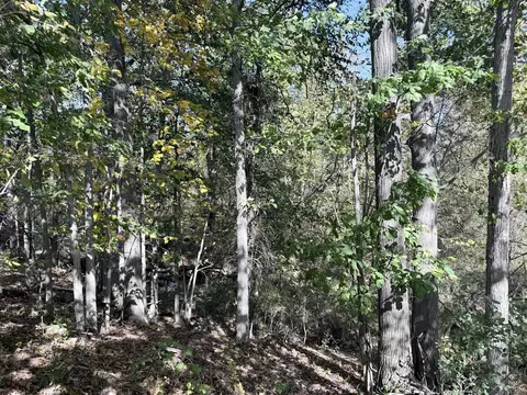 W Lake, Clio, MI 48420 photo 5