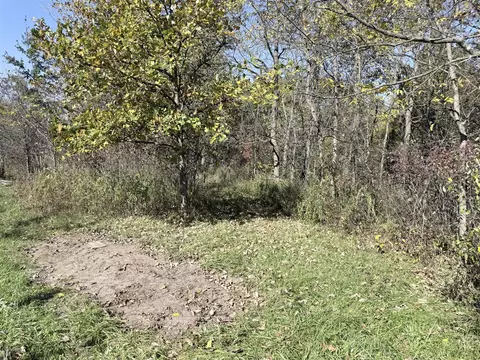 W Lake, Clio, MI 48420 photo 6