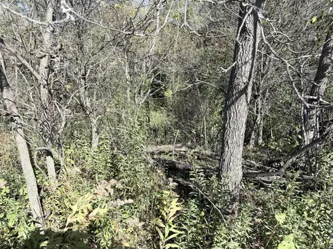 W Lake, Clio, MI 48420 photo 7