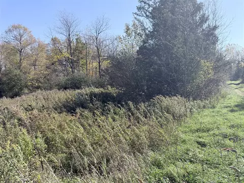 W Lake, Clio, MI 48420 photo 8