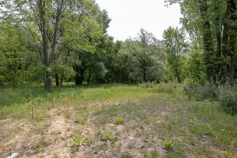 197 Elm, Cedar Springs, MI 49319