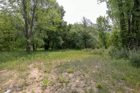 197 Elm, Cedar Springs, MI 49319