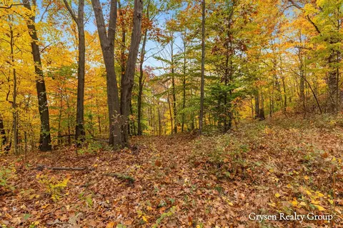 Parcel 7 Leaf Lane, Freeport, MI 49325 photo 8