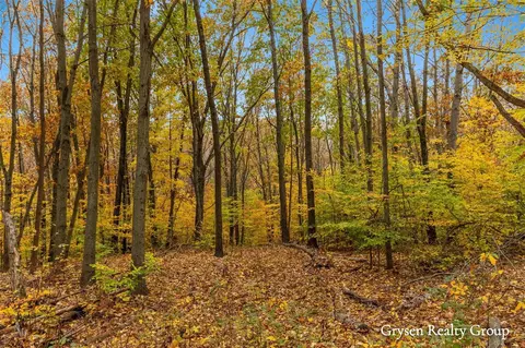 Parcel 7 Leaf Lane, Freeport, MI 49325 photo 11