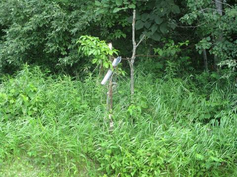 0 Russell Lk, Roscommon, MI 48653