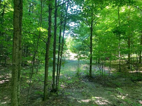 9870 E Keswick #LOT : 7, Suttons Bay, MI 49682
