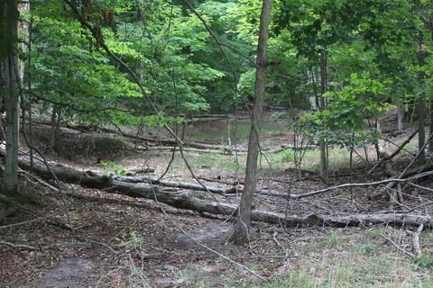 Parcel B Highland, Beulah, MI 49617
