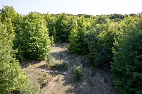 13405 S Cedar, Cedar, MI 49621 photo 36
