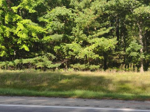 n/a s huron LOT : 118, Au Gres, MI 48703