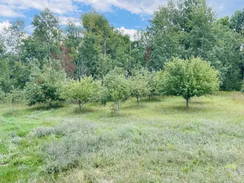 6201 E 16, Manton, MI 49663 photo 65