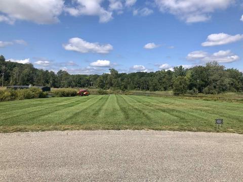 1000 Trebuh, Lake Isabella, MI 48893